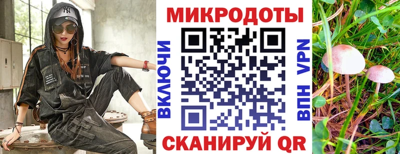 наркотики  Нелидово  Псилоцибиновые грибы мицелий 