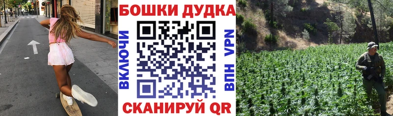 Бошки Шишки ГИДРОПОН  Нелидово 